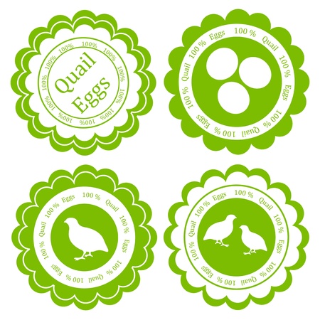 Quail eggs vector background label stamp green farm ecology conceptのイラスト素材
