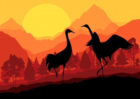 Crane couple in wild mountain nature landscape background illustration vectorのイラスト素材