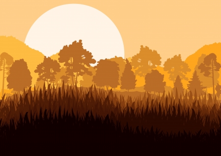 Wild mountain forest nature landscape scene background illustration vector for posterのイラスト素材