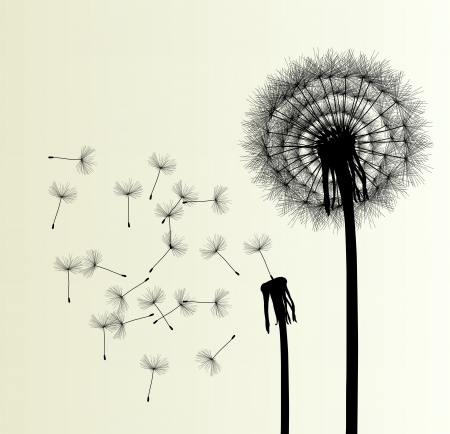 Blow Dandelion  background for posterのイラスト素材