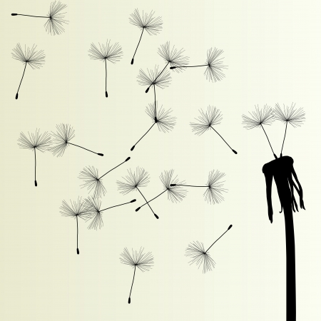 Blow Dandelion vector background for posterのイラスト素材