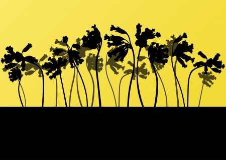 Wild larkspur plants detailed silhouettes illustration collection backgroundのイラスト素材