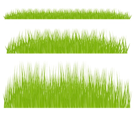 Green grass backgroundのイラスト素材