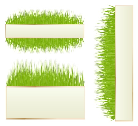 Green grass backgroundのイラスト素材