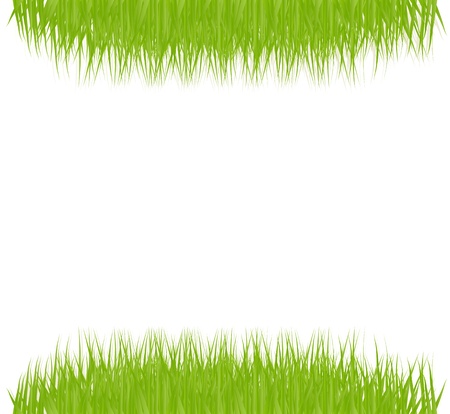 Green grass backgroundのイラスト素材