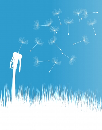 Dandelion blow background concept for posterのイラスト素材