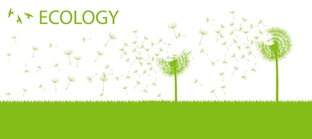 Blow dandelion abstract background concept for posterのイラスト素材