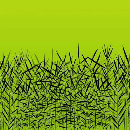 Grass, reed and wild plants detailed silhouettes illustration backgroundのイラスト素材