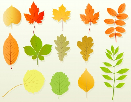 Autumn leaves set vector background for posterのイラスト素材