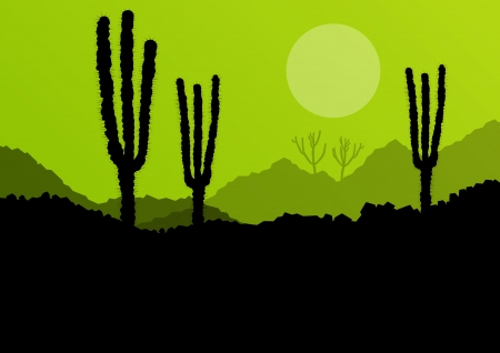 Desert cactus plants wild nature landscape illustration background vectorのイラスト素材