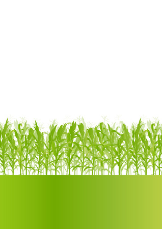 Corn field detailed countryside landscape ecology illustration background vectorのイラスト素材