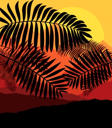 Palms tropical sunset mysterious vector background landscapeのイラスト素材
