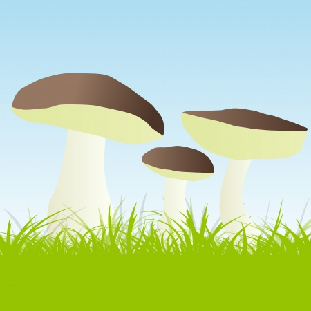 Mushrooms vector background conceptのイラスト素材