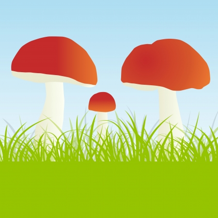 Mushrooms vector background conceptのイラスト素材