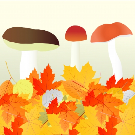 Mushrooms and leaves vector autumn background conceptのイラスト素材