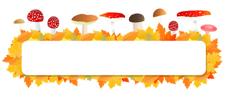 Mushrooms and leaves vector autumn background conceptのイラスト素材