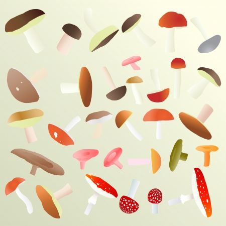 Mushrooms vector autumn background conceptのイラスト素材