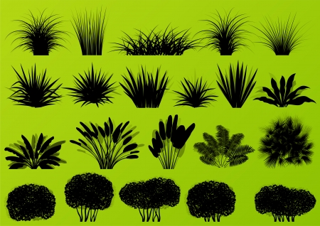 Exotic jungle bushes grass, reed, palm tree wild plants detailed silhouettes illustration collection background vectorのイラスト素材