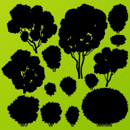 Natural wild tree, bush and scrub plants detailed forest silhouettes illustration collection background vectorのイラスト素材