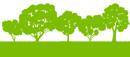 Forest trees silhouettes landscape illustration background vector card templateのイラスト素材