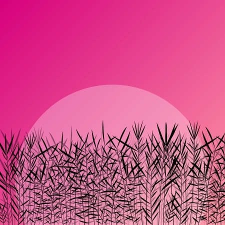  wild water plants detailed silhouettes outdoor illustration background のイラスト素材
