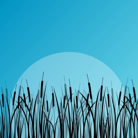  wild water plants detailed silhouettes outdoor illustration background のイラスト素材
