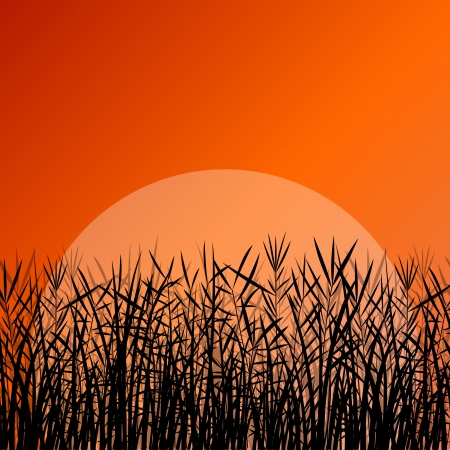 Lake reed and wild water plants detailed silhouettesのイラスト素材