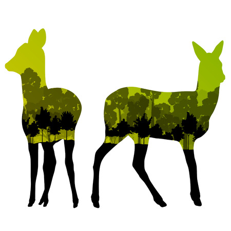 Doe venison deer animal silhouettes in wild nature forest landscape abstract background illustration vectorのイラスト素材