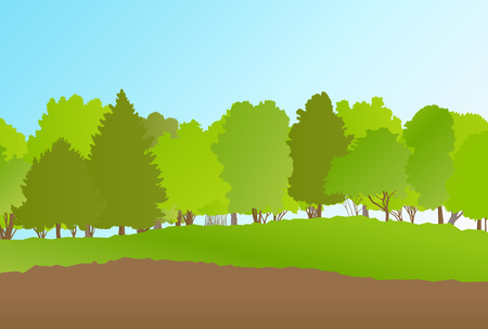 Forest in summer vector background landscape for posterのイラスト素材
