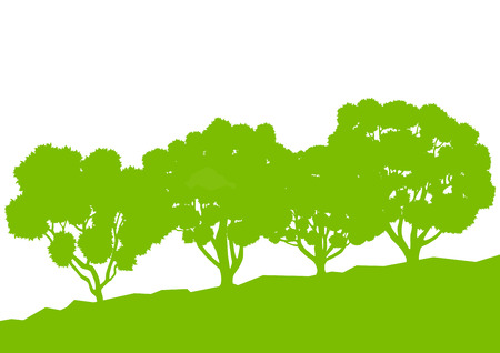 Ecology concept detailed forest tree illustration vector background card for posterのイラスト素材