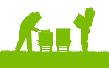 Beekeepers working in apiary vector background ecology concept card for posterのイラスト素材