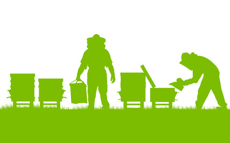 Beekeepers working in apiary vector background ecology concept card for posterのイラスト素材