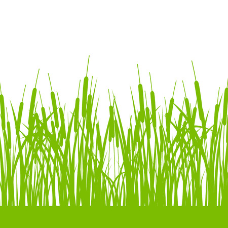 Grass, wild plants detailed silhouettes illustration background vector for posterのイラスト素材