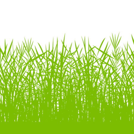 Grass, wild plants detailed silhouettes illustration background vector for posterのイラスト素材