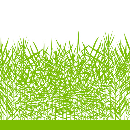 Grass, wild plants detailed silhouettes illustration background vector for posterのイラスト素材
