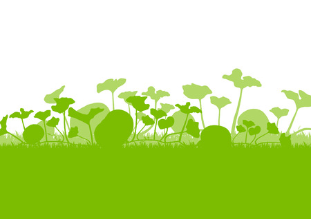 Pumpkin plants field vector background ecology green concept for posterのイラスト素材