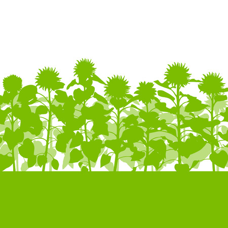 Sunflowers field vector background ecology green concept for posterのイラスト素材