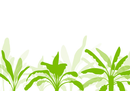 Banana tree, organic ecology background for posterのイラスト素材