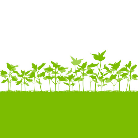 Nettle field vector background ecology green concept for posterのイラスト素材