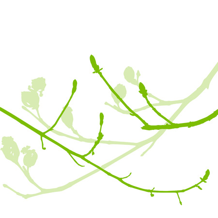 Spring buds, gentle leaves and branches vector background ecology green fresh conceptのイラスト素材