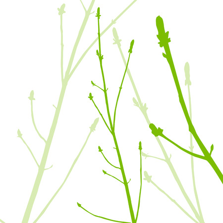 Spring buds, gentle leaves and branches vector background ecology green fresh conceptのイラスト素材