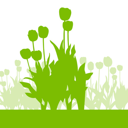 Tulips spring seasonal flower garden ecology concept detailed illustration background vectorのイラスト素材