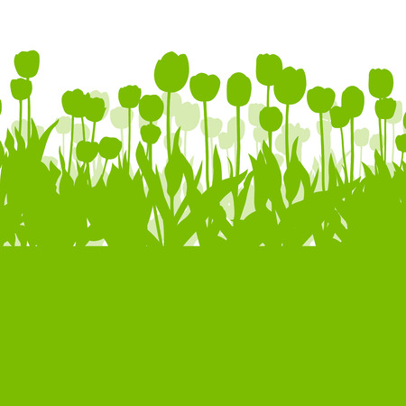 Tulips spring seasonal flower garden ecology concept detailed illustration background vectorのイラスト素材