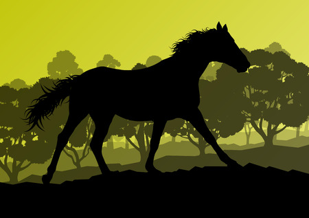 Wild horse in nature vector background landscape freedom concept for posterのイラスト素材