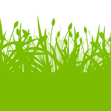 Tulips spring seasonal flower garden ecology concept detailed illustration background vectorのイラスト素材