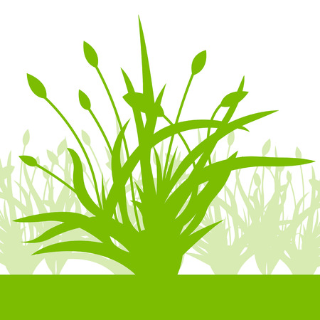 Tulips spring seasonal flower garden ecology concept detailed illustration background vectorのイラスト素材