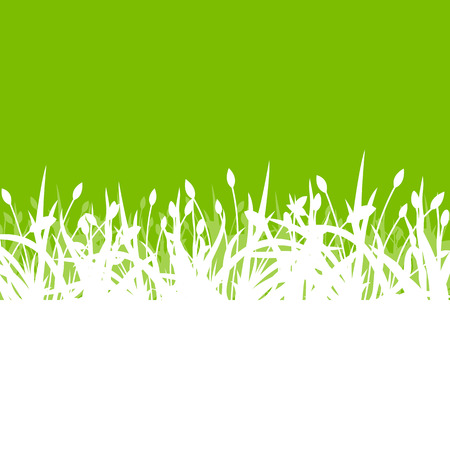 Tulips spring seasonal flower garden ecology concept detailed illustration background vectorのイラスト素材