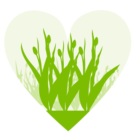 Tulips spring seasonal flower garden ecology concept detailed illustration background vectorのイラスト素材