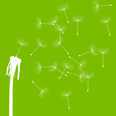 Dandelion seeds blowing away green ecology and time passing concept background vectorのイラスト素材