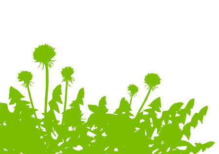 Dandelion green ecology concept field landscape background vectorのイラスト素材